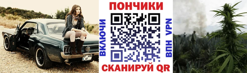 Купить закладку Гашиш  A-PVP  Мефедрон  Галлюциногенные грибы  Бошки Шишки  Кохма