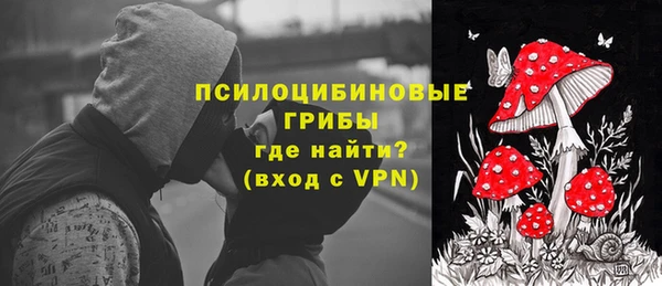 гидра Бабаево